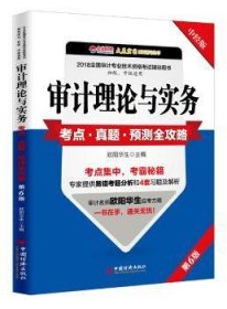 审计理论与实务考点 真题 预测全攻略