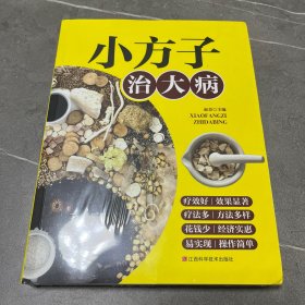 小方子治大病   中医书籍养生偏方大全民间老偏方美容养颜常见病防治 保健食疗偏方秘方大全小偏方老偏方中医健康养生保健疗法