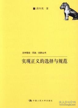 法学理念·实践·创新丛书：实现正义的选择与规范