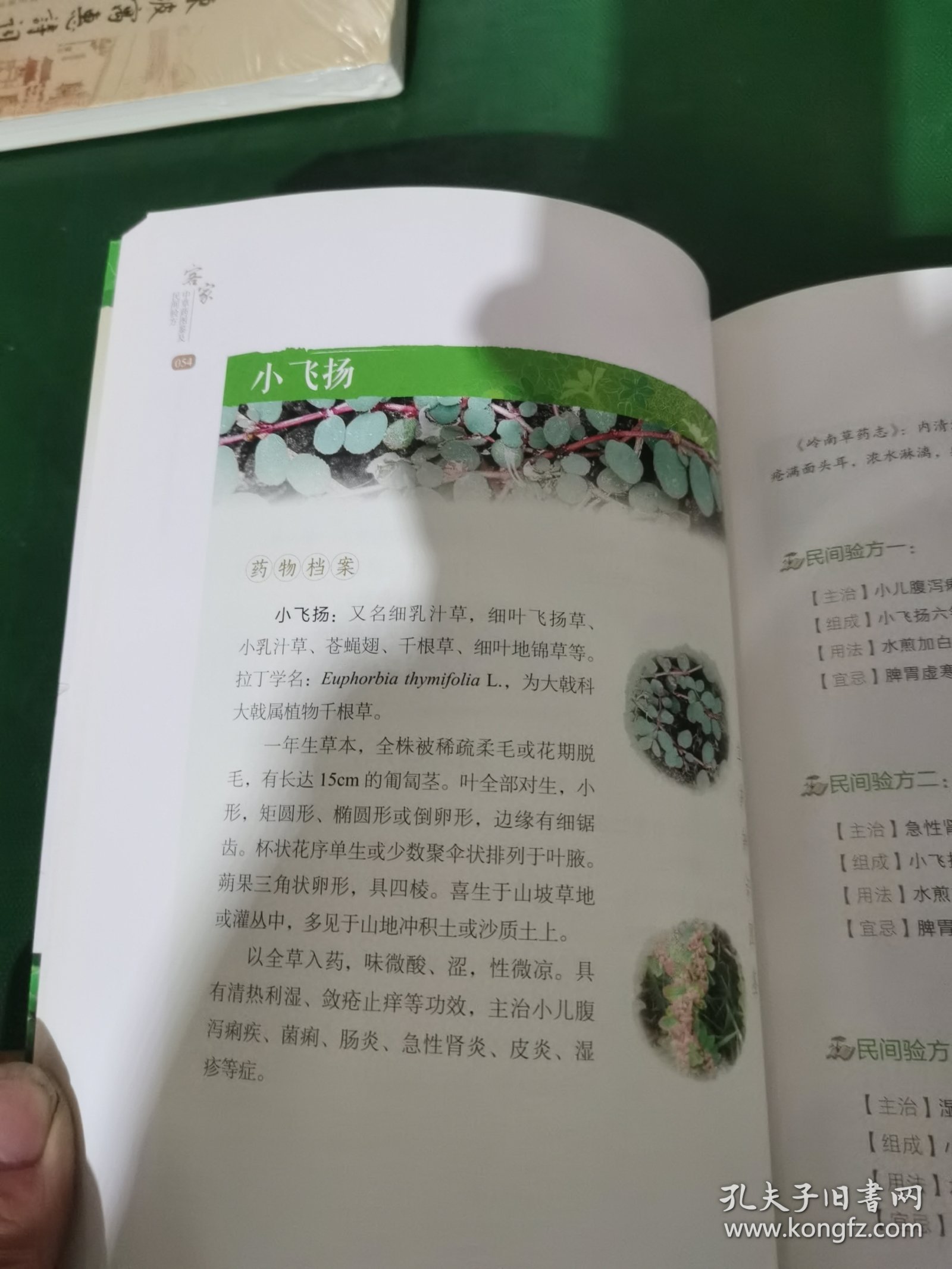 客家中草药图鉴及民间验方