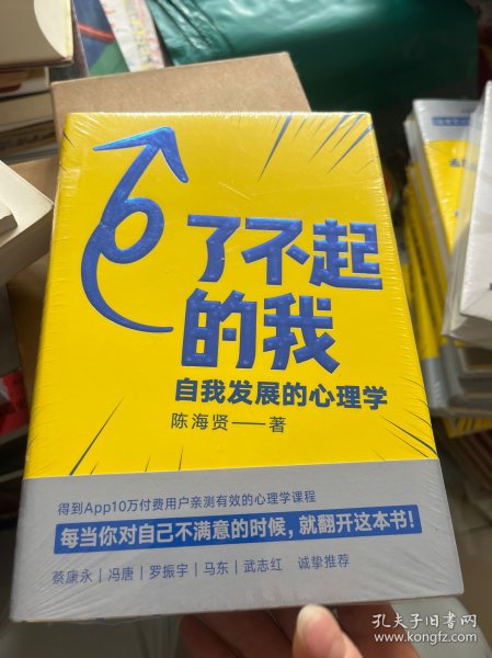 了不起的我：自我发展的心理学