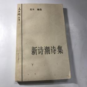 新诗潮诗集 下