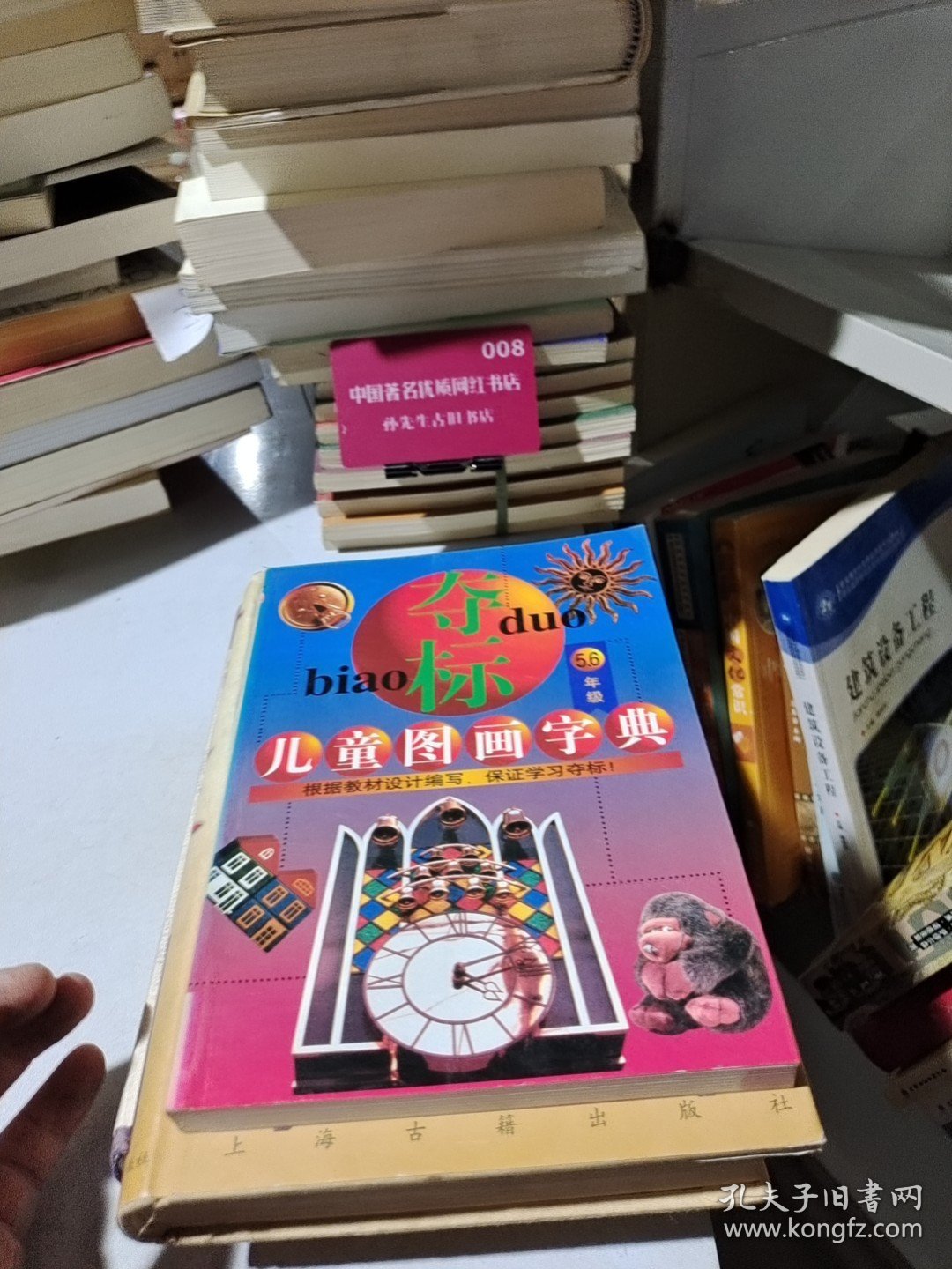 夺标儿童图画字典 . 5.6年级儿童图画字典