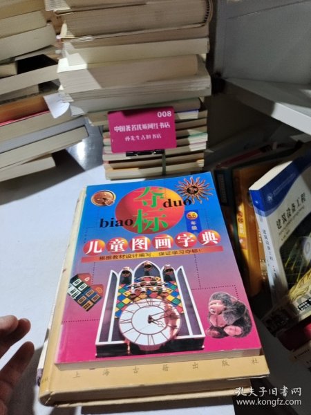 夺标儿童图画字典 . 5.6年级儿童图画字典