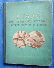 俄文书籍植物化石图解1959年#10