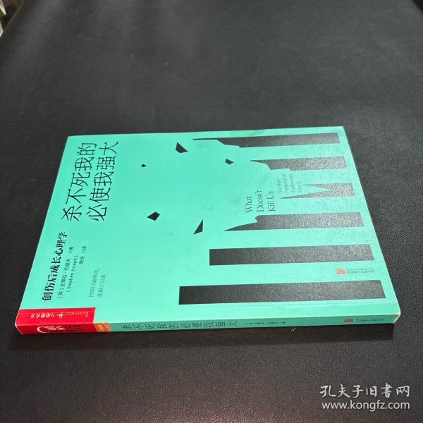 杀不死我的必使我强大：创伤后成长心理学