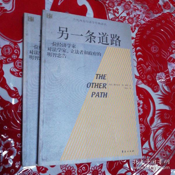 另一条道路：一位经济学家对法学家、立法者和政府的明智忠告