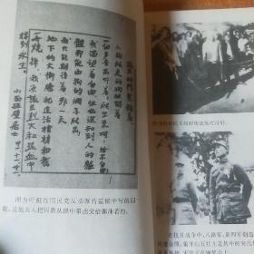 红星闪耀