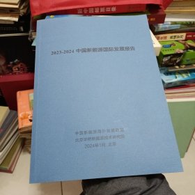 2023~2024中国新能源国际发展报告