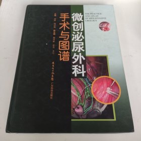 微创泌尿外科手术与图谱