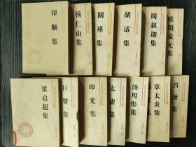 近现代著名学者佛学文集（13册合售）： 太虚集 印顺集 杨仁山集 章太炎集 杨度集 梁启超集 圆瑛集 吕征集 欧阳竟无集 胡适集 周叔迦集 汤用彤集 印光集 巨赞集