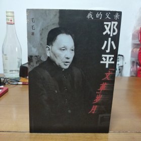 我的父亲邓小平：文革岁月