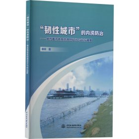 “韧性城市”的内涝防治——城市蓄涝体系的规划设计与运行调度