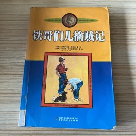 铁哥们儿擒贼记：林格伦作品选集