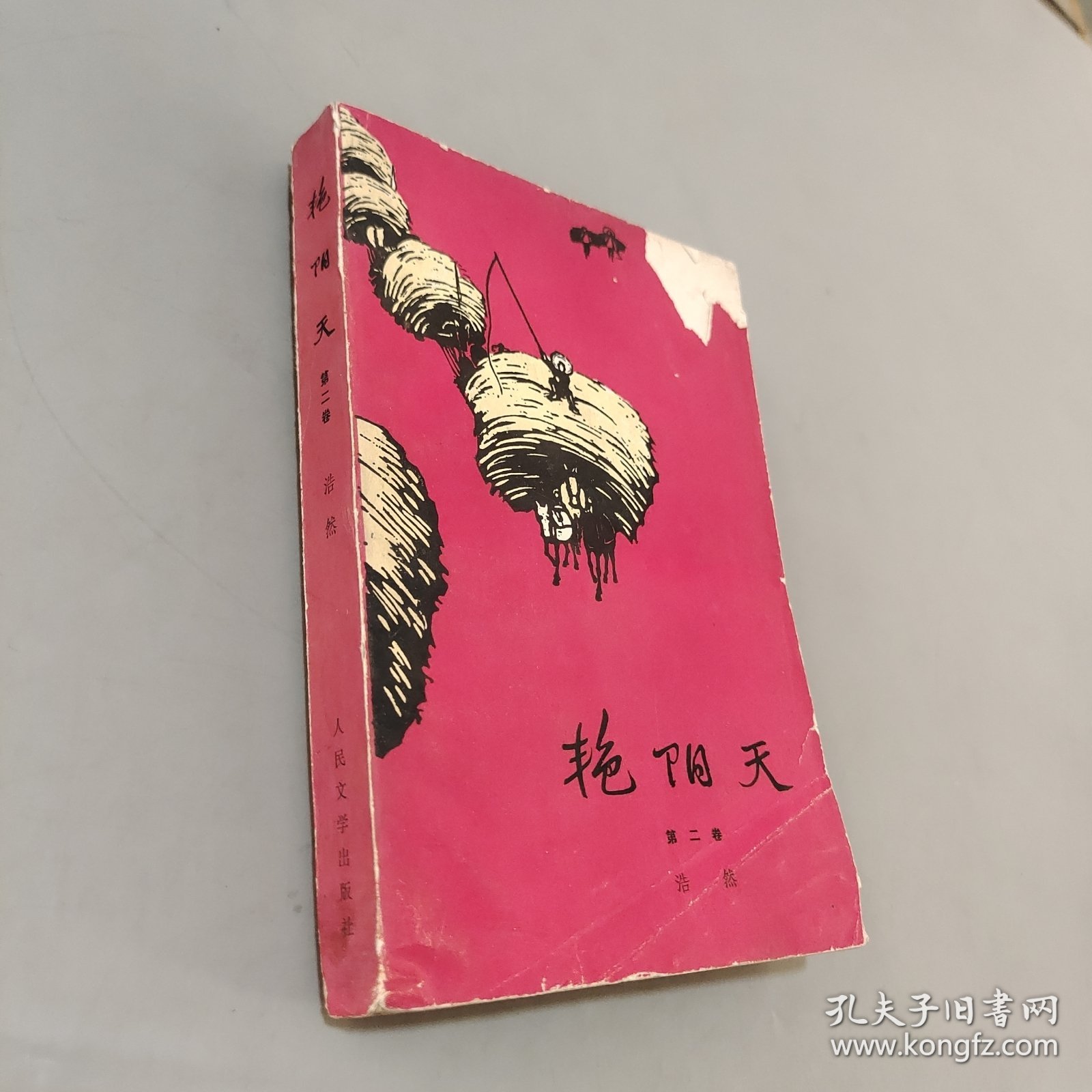 艳阳天