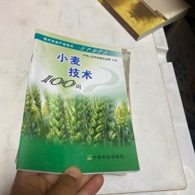 小麦技术100问