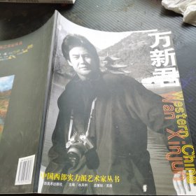 中国西部实力派艺术家丛书：万新君
