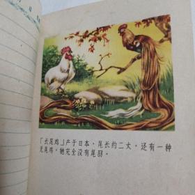 50年代“和畅”日记本，品优未用，彩插多幅。