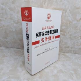 最高人民法院民事诉讼法司法解释实务指南