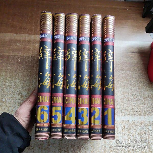 多功能现代汉语《辞海》（1-6册全）