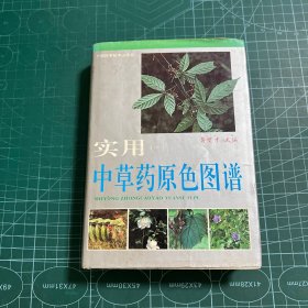 实用中草药原色图谱（1）［精装］