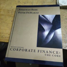 CORPORATE FINANCE:THE CORE 公司财务：核心 大16开