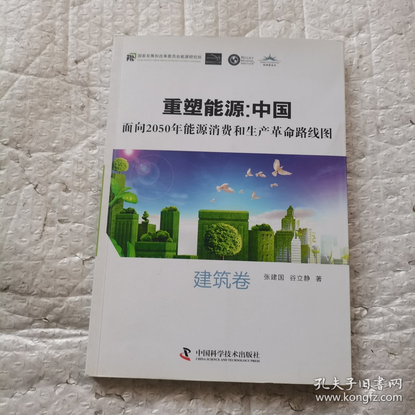 重塑能源：中国面向2050年能源消费和生产革命路线图 建筑卷