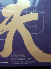 功夫(中央美术学院造型学科基础部成立二十周年作品集)(精)