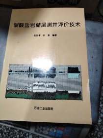 碳酸盐岩储层测井评价技术