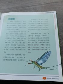 虫虫虫虫飞：读古诗、识昆虫