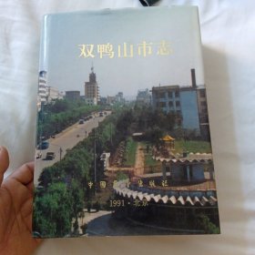 双鸭山市志