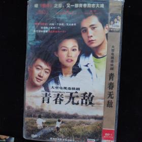 光盘 DVD  青春无敌 简装两碟装