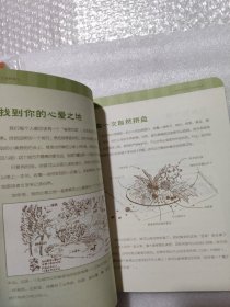 我的自然笔记：找寻一种探索周围世界的新途径