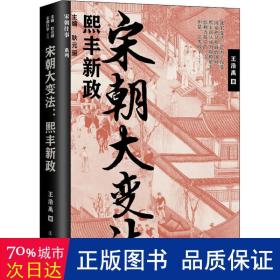 宋朝大变法:熙丰新政 中国历史 王浩禹