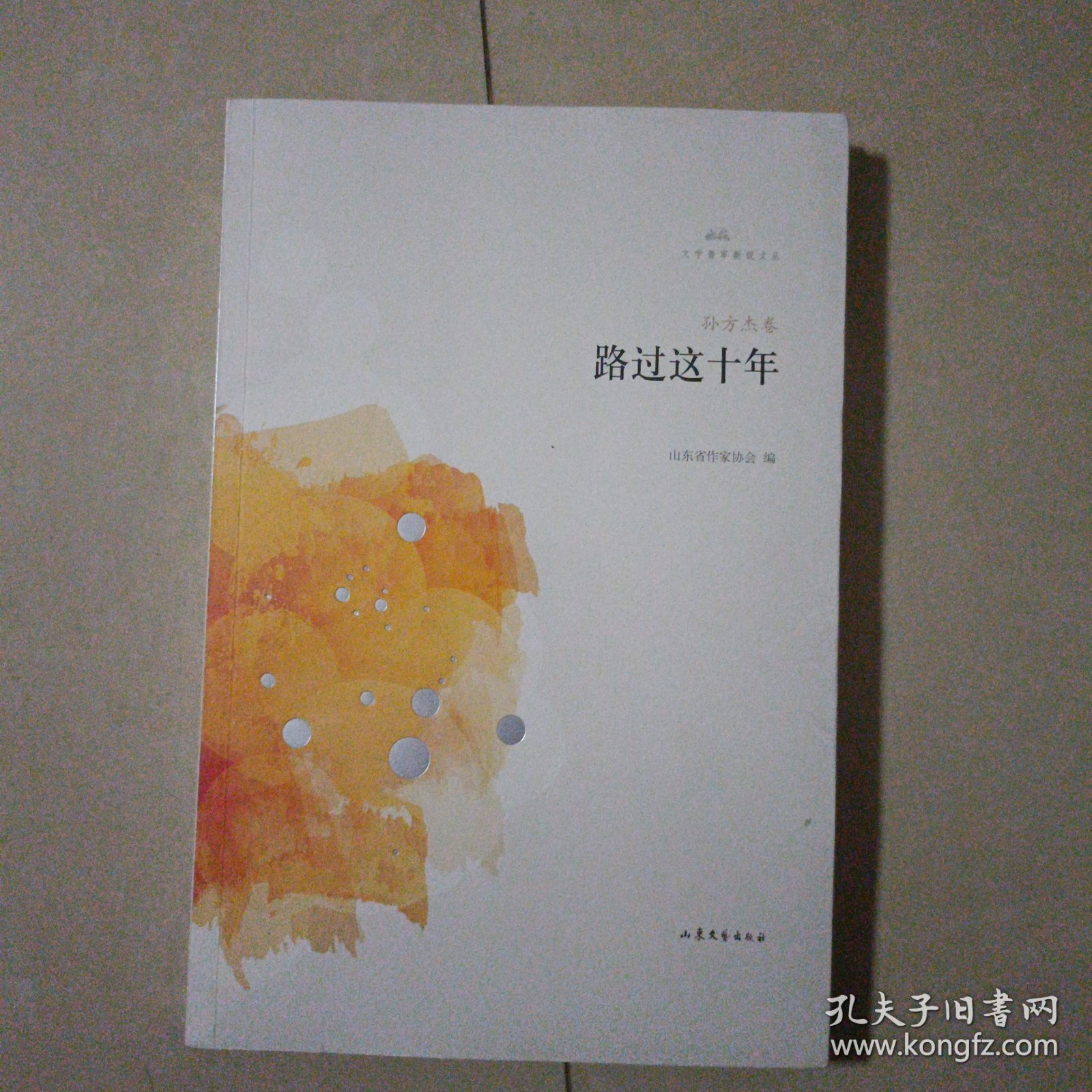 路过这十年（诗集）