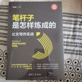 笔杆子是怎样炼成的：公文写作实战（新时代·职场新技能）