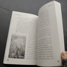 杂交水稻是怎样育成的：袁隆平口述自传