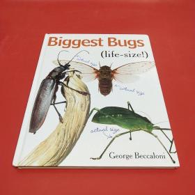 Biggest Bugs Life-Size!