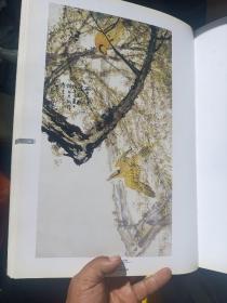 康师尧花鸟画集