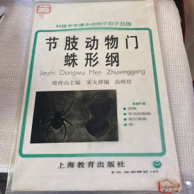 节肢动物门蛛形纲（初级中学课本动物学教学挂图）