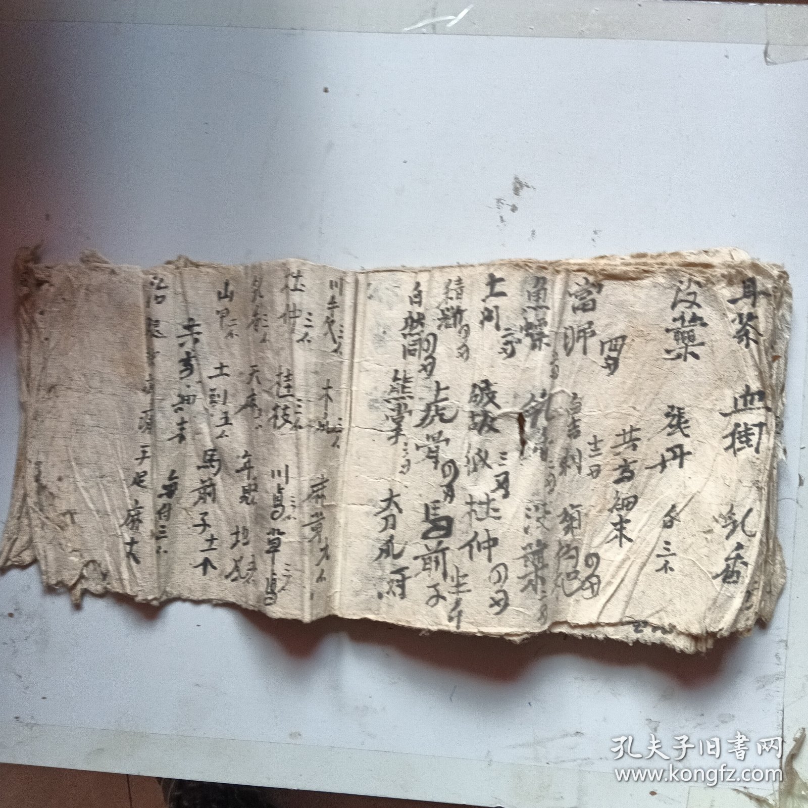 手抄本药方，15同子页
