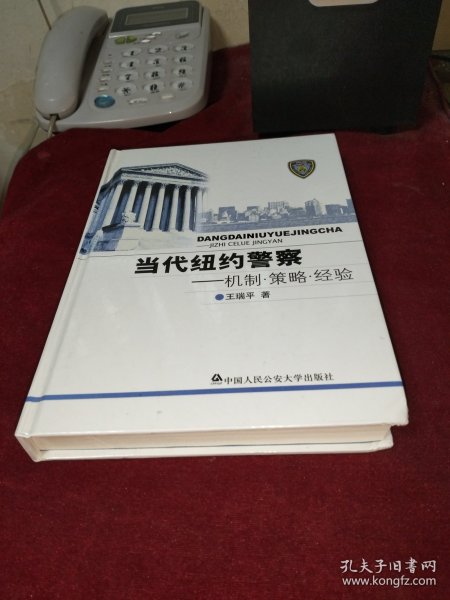 当代纽约警察：机制·策略·经验