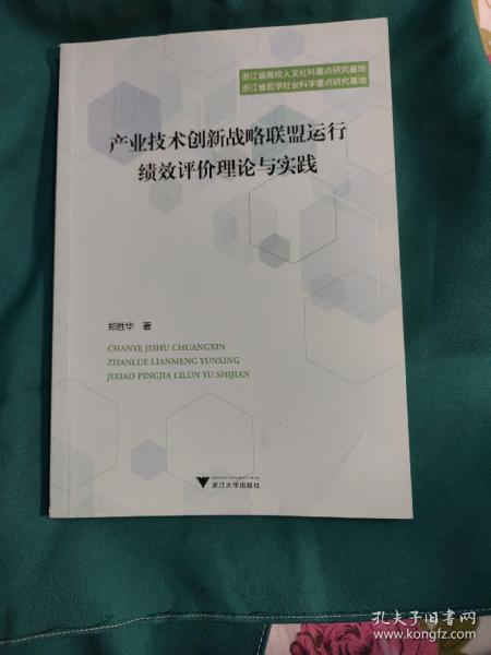 产业技术创新战略联盟运行绩效评价理论与实践