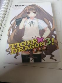 TIGER×DRAGON3!：龙与虎3