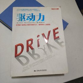 驱动力：在奖励与惩罚都已失效的当下 如何焕发人的热情