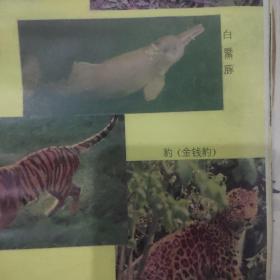 江西省野生动物保护手册