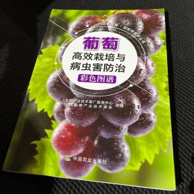 扫码看视频轻松学技术丛书：葡萄高效栽培与病虫害防治彩色图谱