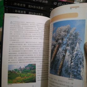 四川世居彝族文化