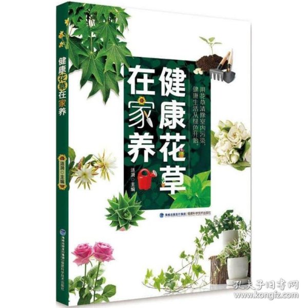 健康花草在家养