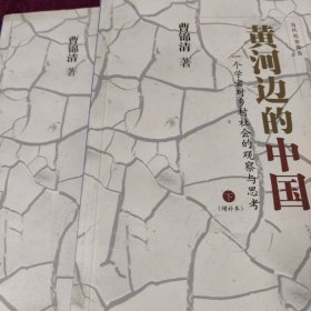 黄河边的中国：一个学者对乡村社会的观察与思考